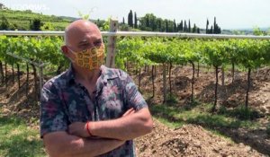 En Italie, sous les vignes, les mosaïques