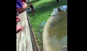 Une femme et son enfant dans un enclos à alligators