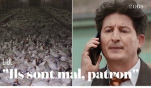 L214 parodie Lidl pour dénoncer les pratiques d’élevage et d’abattage des poulets