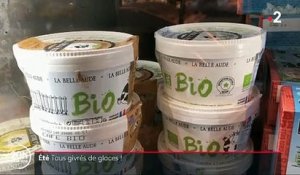 Les ventes de crèmes glacées s'envolent  : Reportage à Carcassonne, où une marque veut conquérir la France entière avec ses produits bio