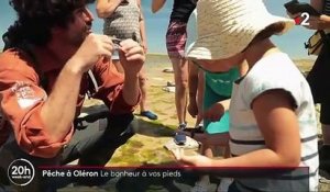 Ile d'Oléron : à la découverte de la pêche à pieds