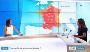 Canicule : nouvelle vague de chaleur en France