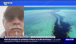 Île Maurice: le consultant environnement à Greenpeace assure que "la biodiversité marine a été endommagée massivement"