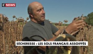 Sécheresse : les sols français assoiffés