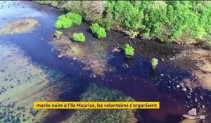 Île Maurice : la situation écologique s’aggrave à cause de la marée noire