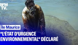 Île Maurice: "l’état d’urgence environnemental" déclaré par le Premier ministre