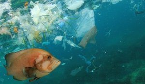 Une étude alarmante démontre que la pollution plastique dans les océans pourrait tripler d'ici 2040