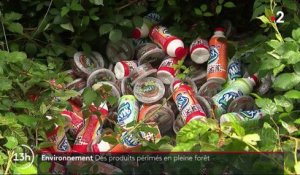 Environnement : des centaines de produits périmés retrouvés dans la forêt de Mormal