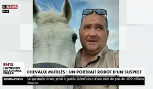 Massacre de chevaux dans plusieurs régions de France - Voici le premier portrait robot d'un suspect qui s'est attaqué aux animaux et à un propriétaire
