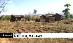 Malawi : en cette période de pandémie, la souris est devenue un plat de résistance