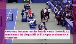 Novak Djokovic disqualifié de l’US Open, il rappelle à l'ordre ses fans