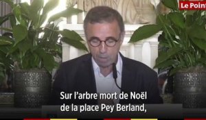 À Bordeaux, exit le sapin de Noël, « un arbre mort » pour le maire Pierre Hurmic