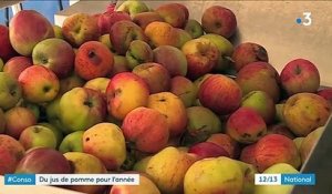 Ardennes : la saison du jus de pomme s'annonce exceptionnelle