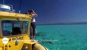 Nouvelle-Calédonie : l'îlot goéland
