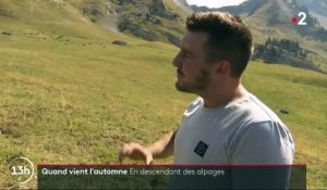 Haute-Savoie : à l'approche de l'automne, la fin de l'alpage