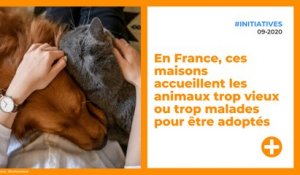 En France, ces maisons accueillent les animaux trop vieux ou trop malades pour être adoptés