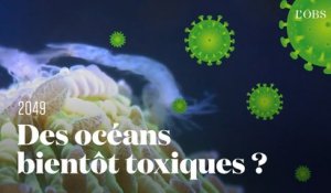 La prochaine épidémie mondiale viendra-t-elle de l’océan ? Les experts répondent