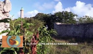 Guadeloupe : La réserve naturelle de Petite-Terre