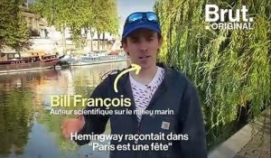 Trois espèces de poissons de retour à Paris