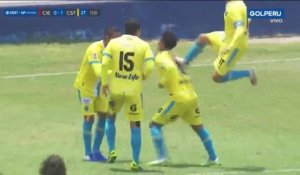 Douloureuse célébration pour Romani - Foot - WTF