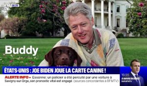 Etats-Unis : Joe Biden joue la carte canine ! - 14/10