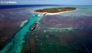 Australie : le réchauffement tue la Grande Barrière à petit feu, 50% du corail disparu en 25 ans