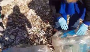 Calanques propres: ramassage de dechets à Sausset