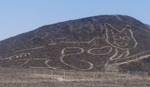 Un immense géoglyphe de félin découvert sur le fameux site archéologique de Nazca, au Pérou