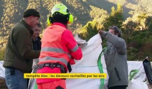 Alpes-Maritimes : après la tempête Alex, des hélicoptères livrent le fourrage aux éleveurs