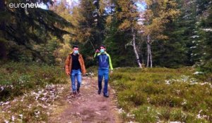 Mont-Blanc : comment le réchauffement climatique affecte la biodiversié et l’agriculture