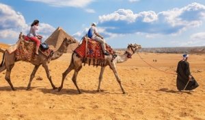 Égypte : les promenades à dos de chameaux, de chevaux et d'ânes désormais interdites autour des pyramides de Gizeh