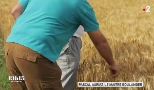 "La vérité sort du grain de blé" : le maître boulanger Pascal Auriat qui utilise une farine locale deux à trois fois plus chère que celle de la filière industrielle