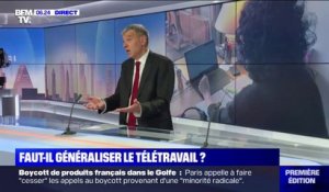 Faut-il généraliser le télétravail pour freiner l'épidémie de Covid-19 ?