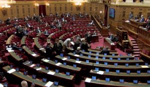 Néonicotinoïdes: le Sénat adopte le projet de loi de dérogation