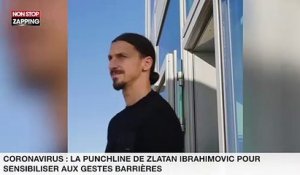 Coronavirus : la punchline de Zlatan Ibrahimovic pour sensibiliser aux gestes barrières  (vidéo)