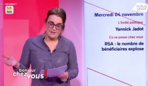 Frédérique Espagnac et Yannick Jadot - Bonjour chez vous ! (04/11/2020)