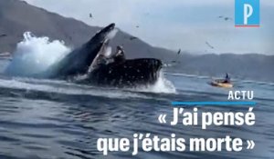 Etats-Unis : deux kayakistes « avalées » par une baleine