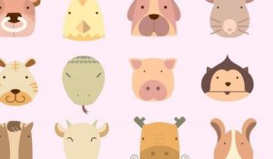 Quel animal êtes-vous d’après votre signe du zodiaque ?