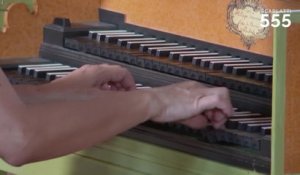 Scarlatti : Sonate pour clavecin en Si bémol Majeur K 154 L 96 (Allegro), par Carole Cerasi - #Scarlatti555