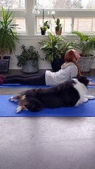faire du yoga avec son chien sur orange videos