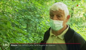 Biodiversité : en Alsace, des bénévoles entretiennent les nichoirs pour faire revenir les oiseaux
