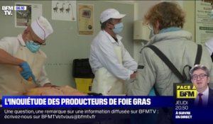 L'inquiétude des producteurs de foie gras à l'approche de Noël