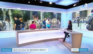 Terrorisme : le difficile suivi des djihadistes libérés en France