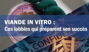 Viande in vitro : ces lobbies qui préparent son succès