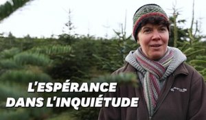 Comment cette productrice de sapins de Noël fait face à la crise sanitaire et écologique