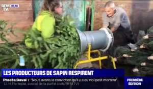 Les producteurs de sapins soulagés de pouvoir vendre