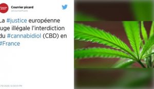 Cannabis : la justice européenne ouvre la voie au CBD en France