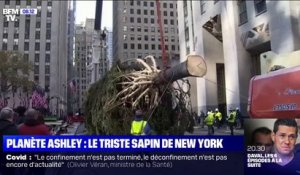 À New York, le sapin de Noël du Rockefeller Center fait mauvaise mine