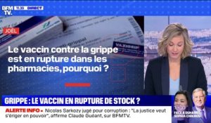 Pourquoi le vaccin contre la grippe est en rupture de stock dans les pharmacies ? - BFMTV répond à vos questions