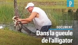 Un retraité sauve son chiot des mâchoires d'un alligator en Floride